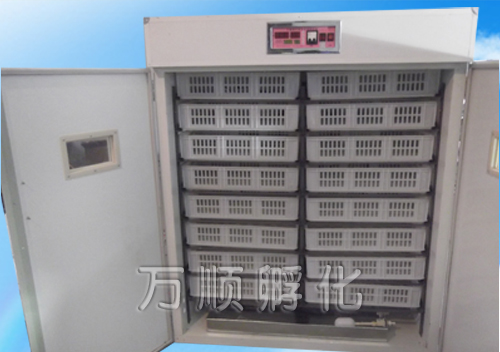 1-1FF6162325R7.jpg