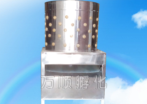 1-1FF6160R51b.jpg